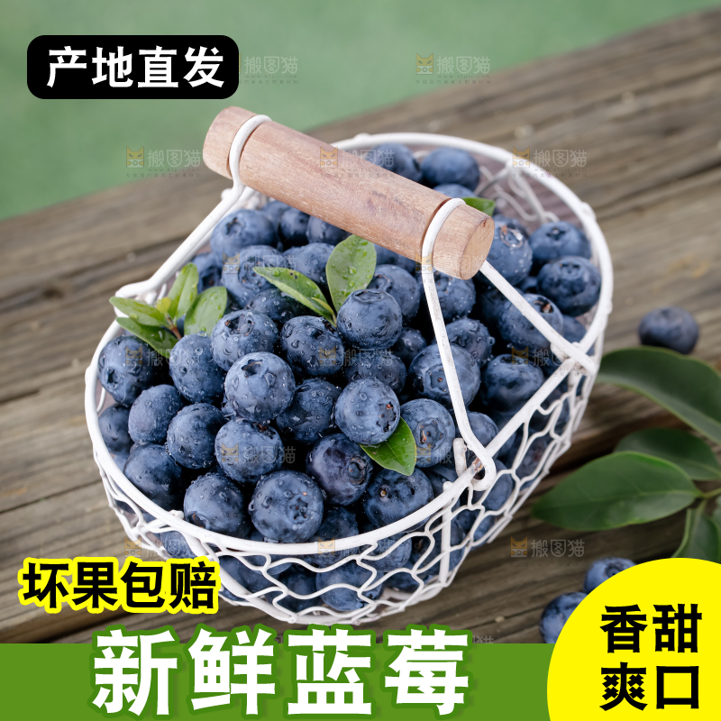 蓝莓