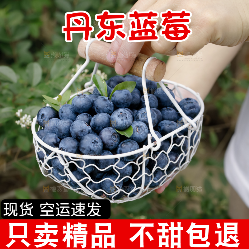 蓝莓