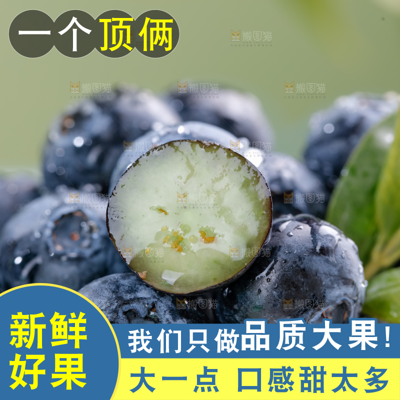 蓝莓