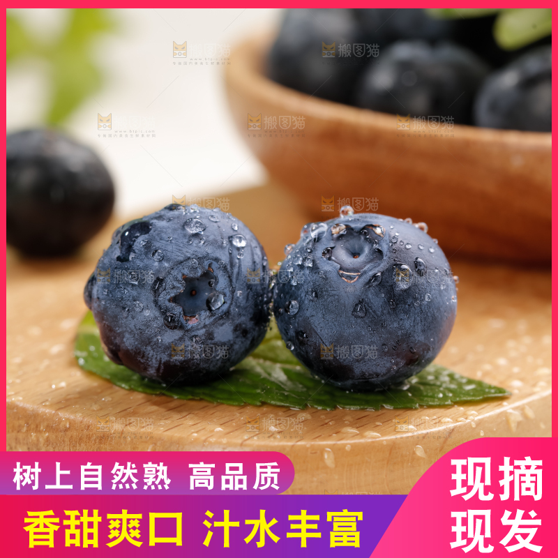 蓝莓