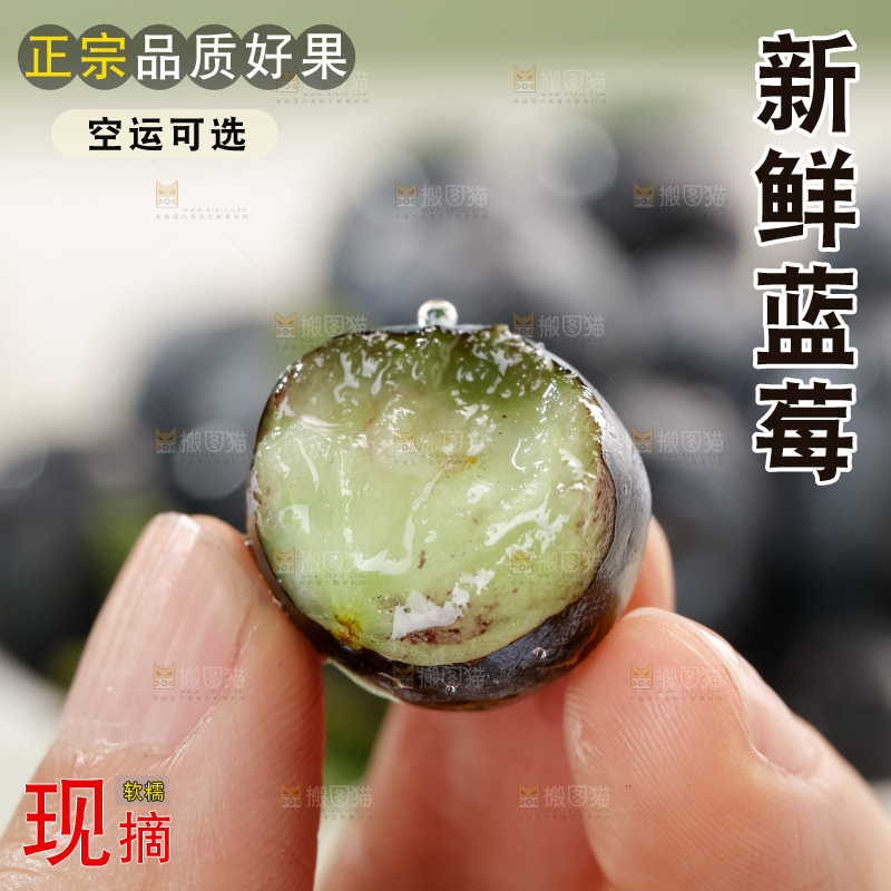 蓝莓