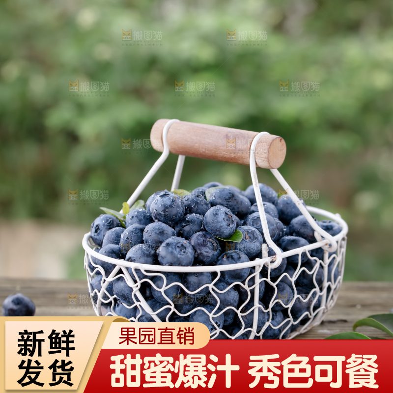 蓝莓