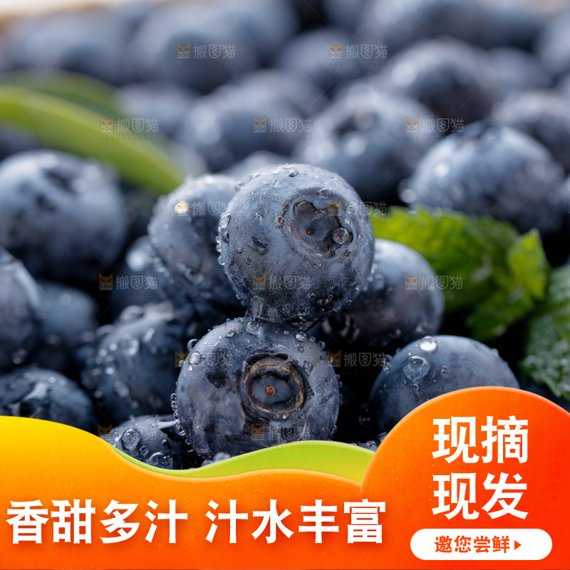 蓝莓