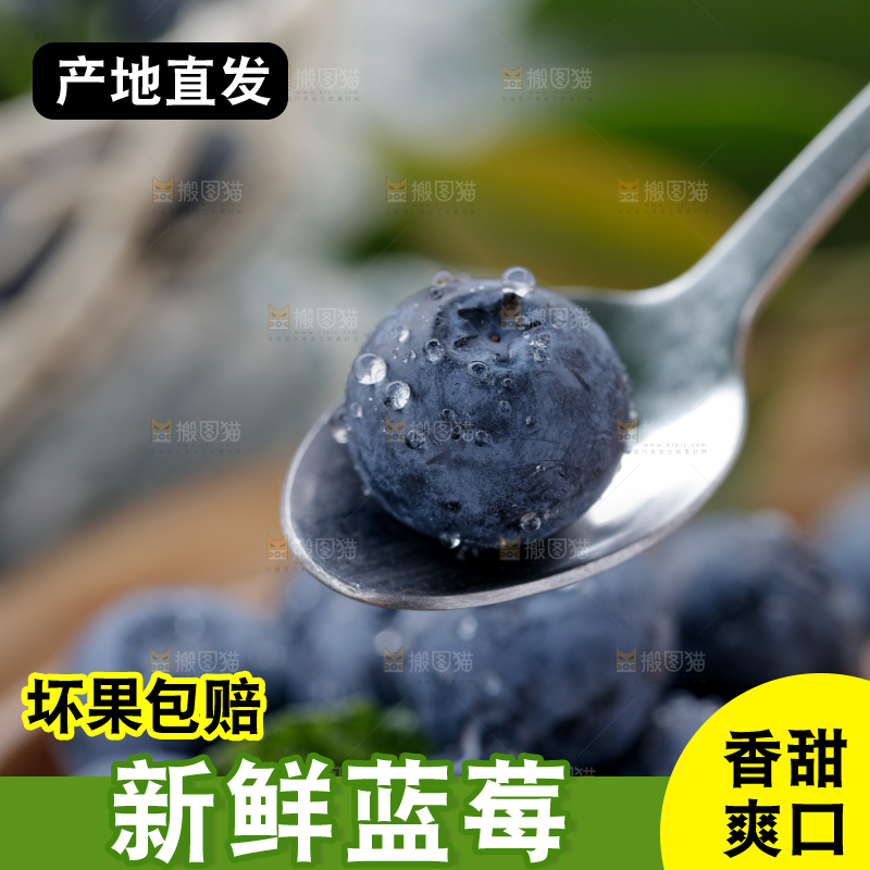 蓝莓