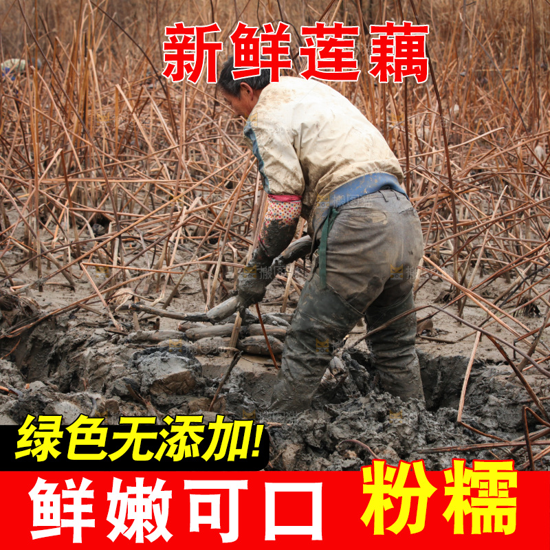 藕塘 劳动