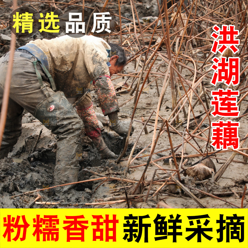 藕塘 劳动