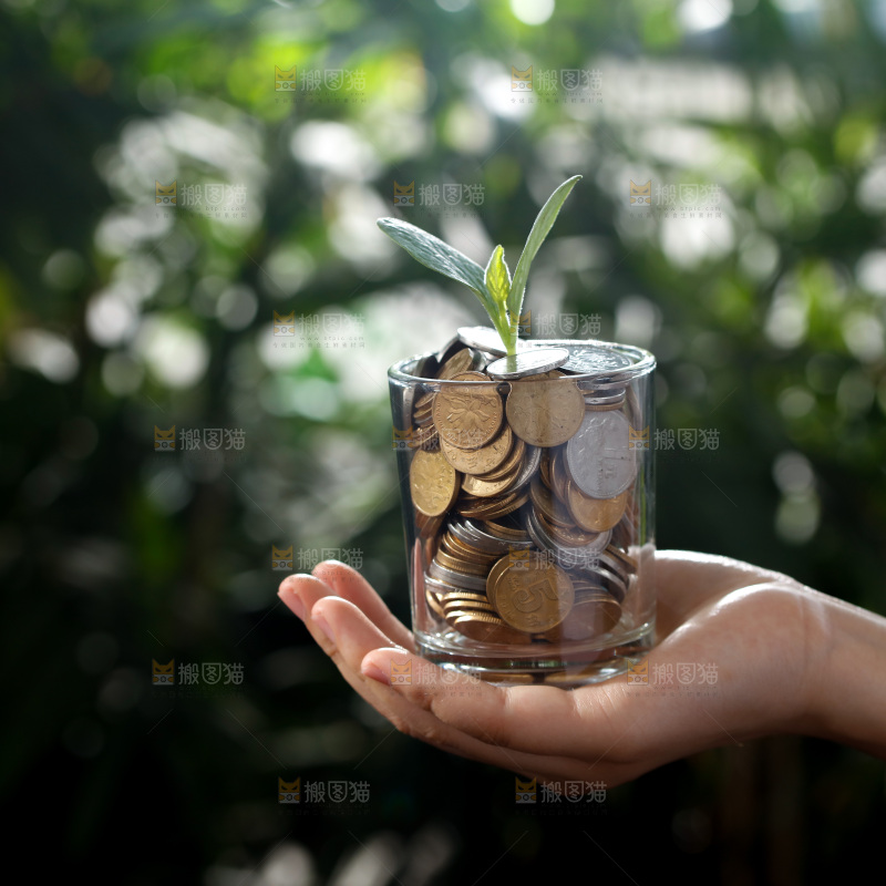 投资 理财 养老