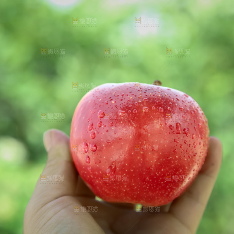 丹烁苹果
