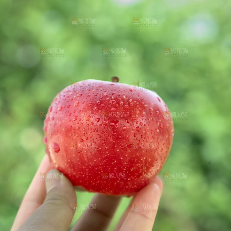 丹烁苹果