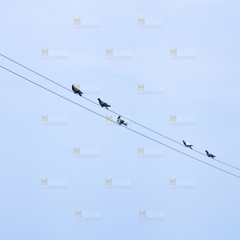 晴空万里