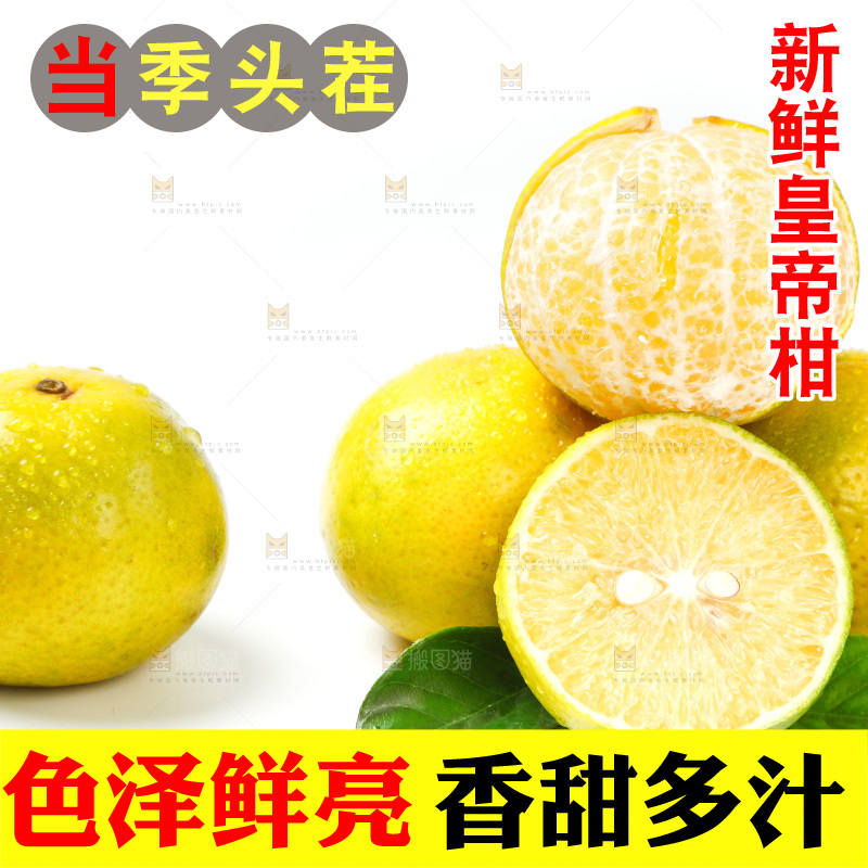 皇帝柑