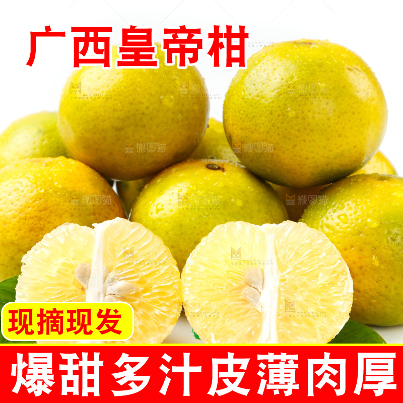 皇帝柑