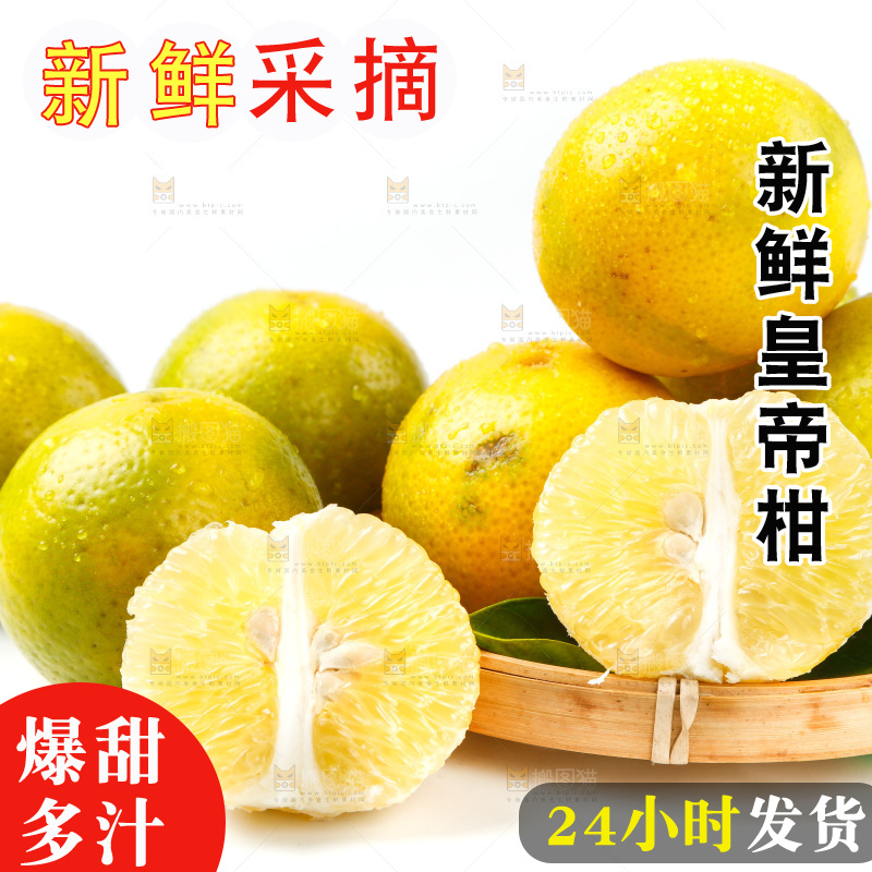 皇帝柑
