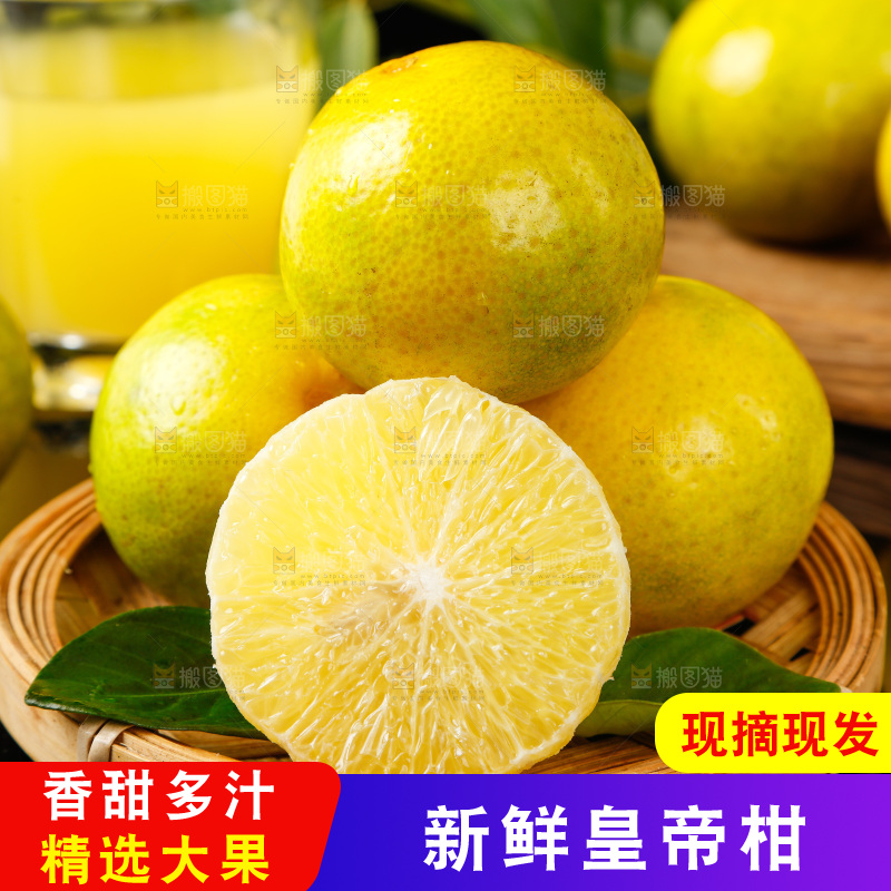 皇帝柑