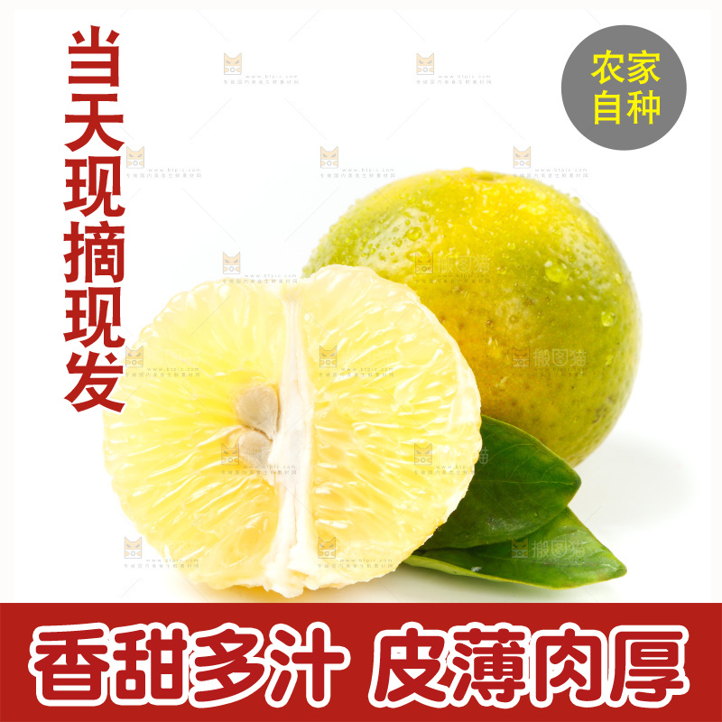 皇帝柑