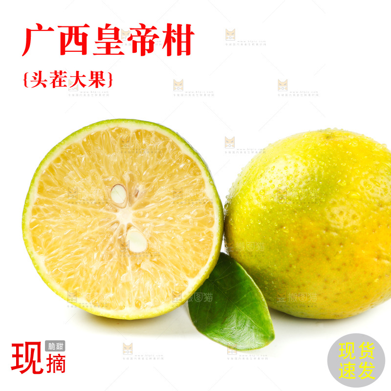 皇帝柑