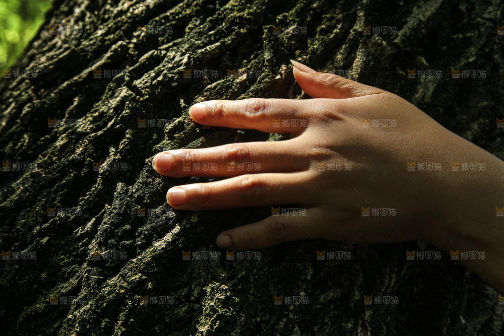 自然纹理