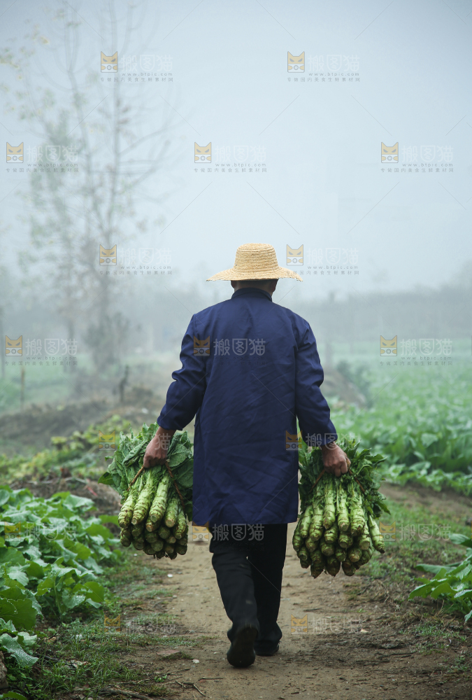 农民拿着新鲜蔬菜