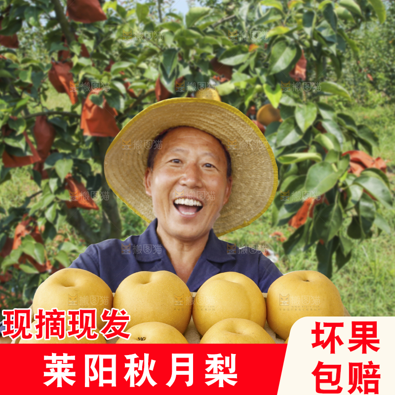 礼盒装着秋月梨