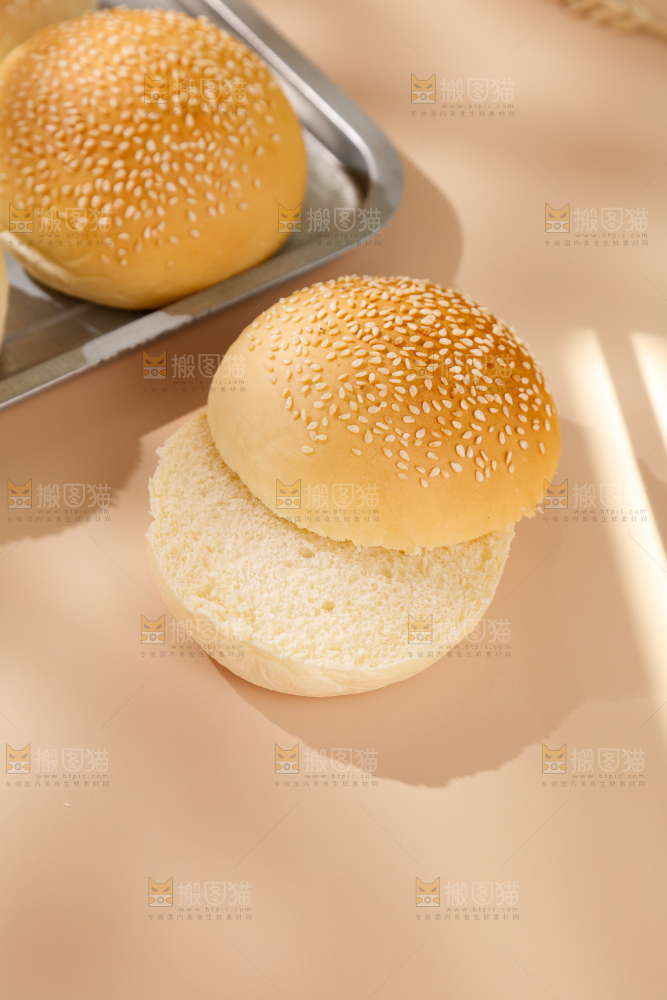 汉堡胚
