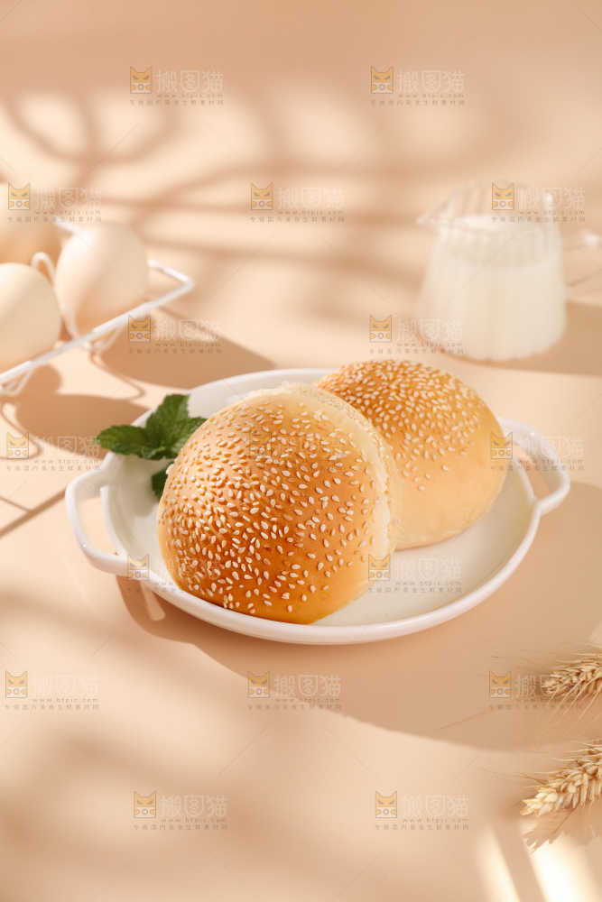 汉堡胚