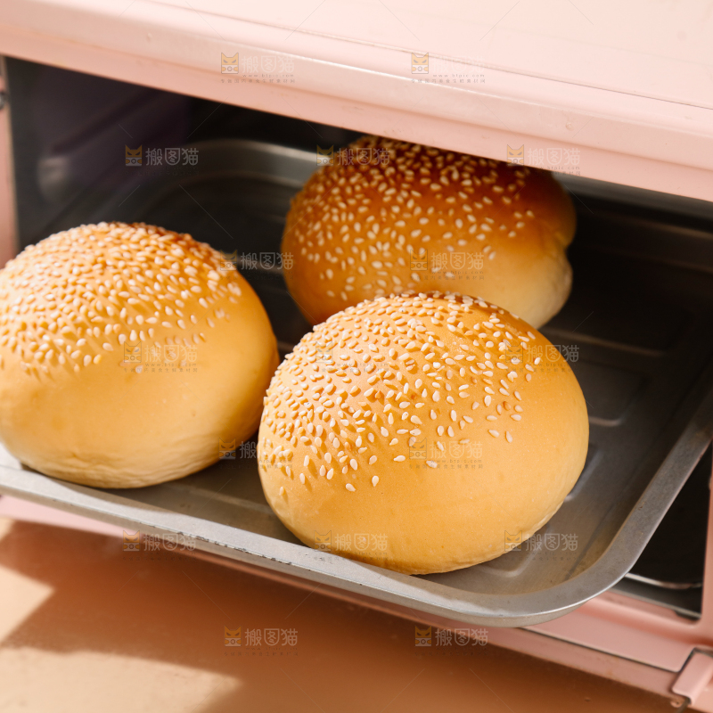 汉堡胚