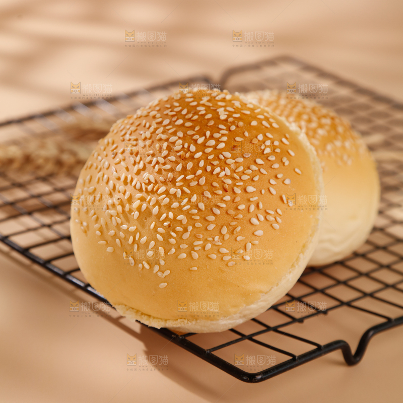 汉堡胚