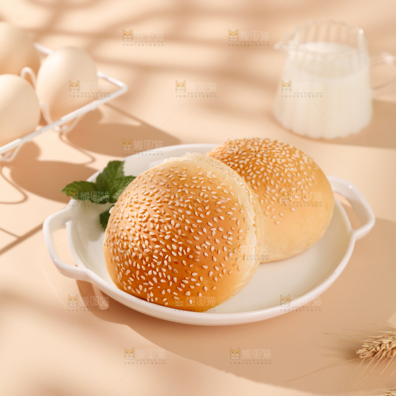 汉堡胚