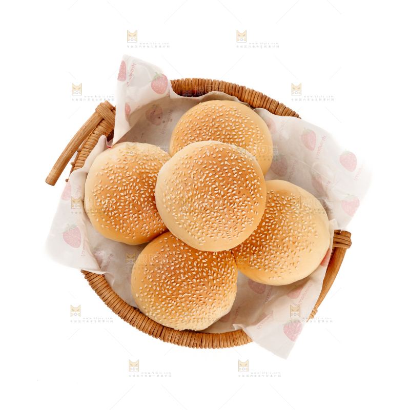 汉堡胚