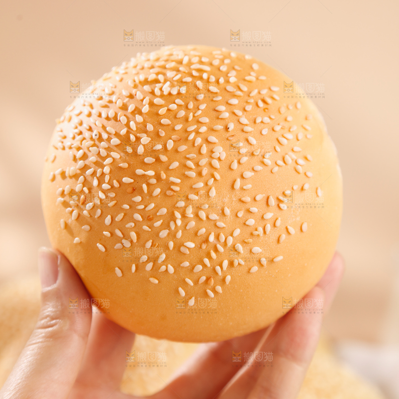 汉堡胚
