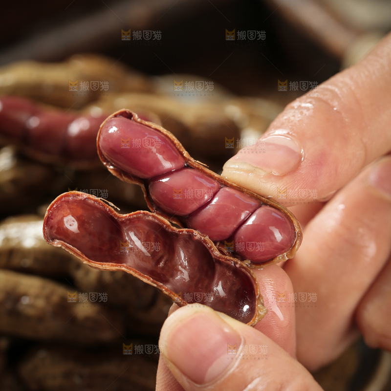 卤花生