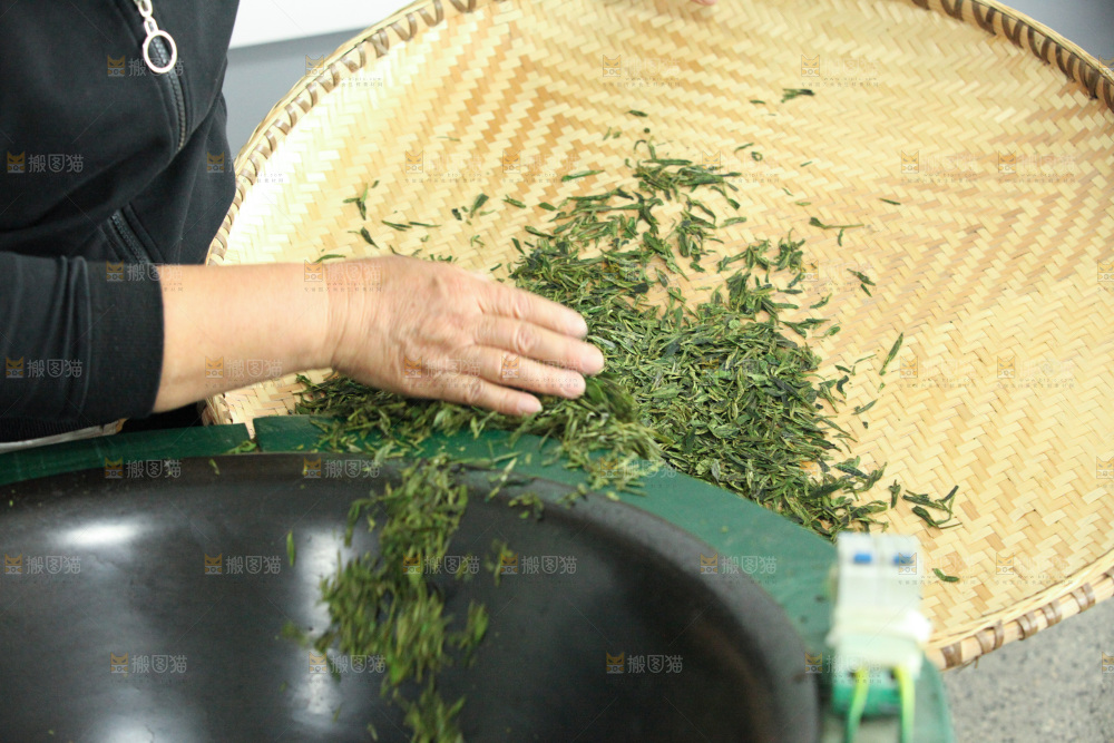 茶叶种植园