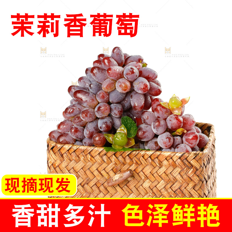 茉莉香葡萄