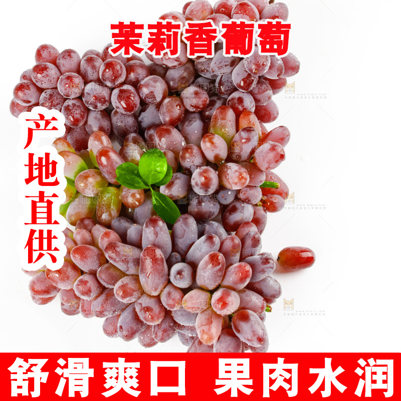 茉莉香葡萄