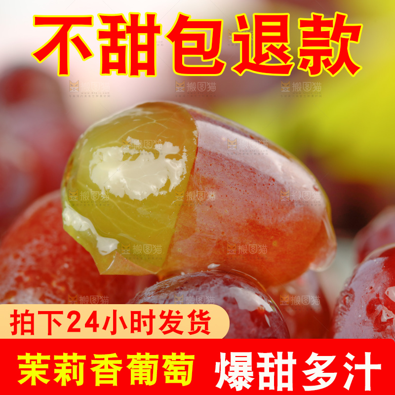 茉莉香葡萄