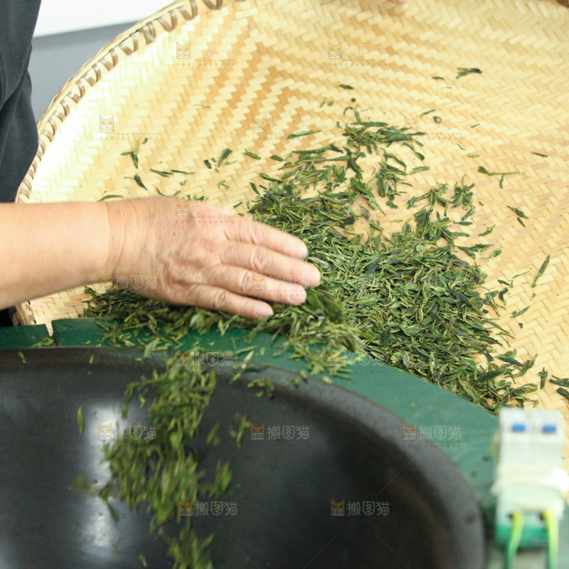 茶叶种植园