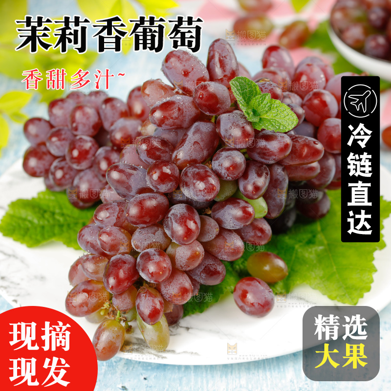 茉莉香葡萄