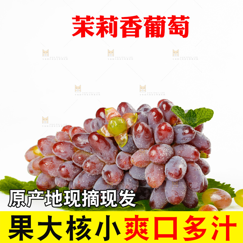 茉莉香葡萄