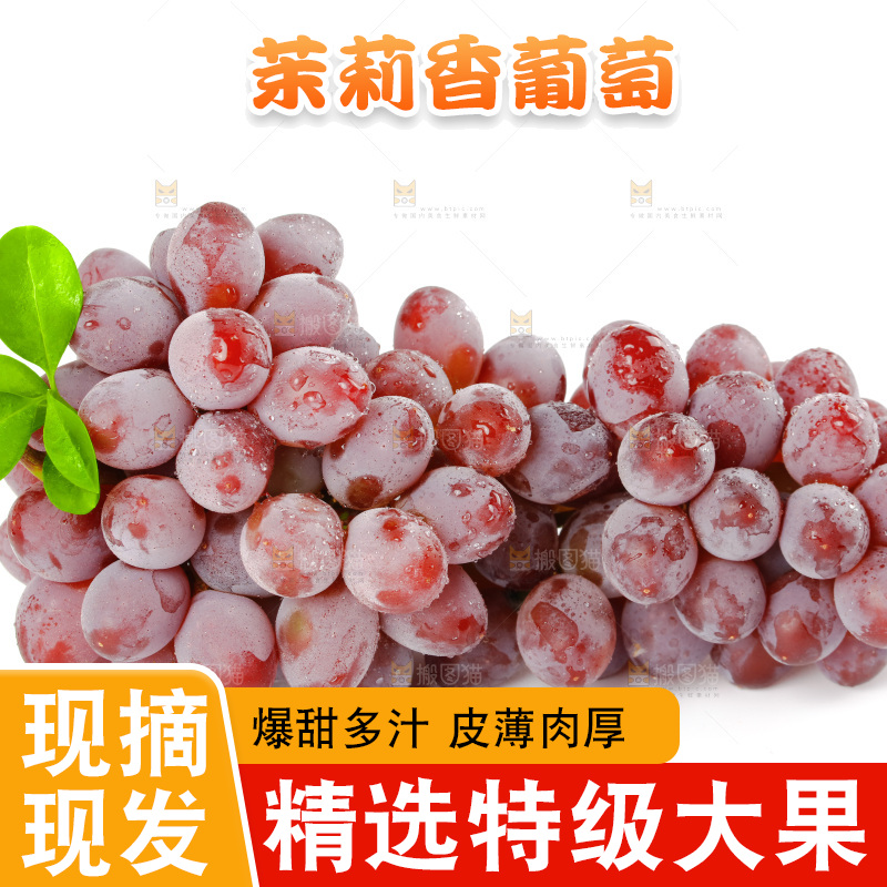 茉莉香葡萄