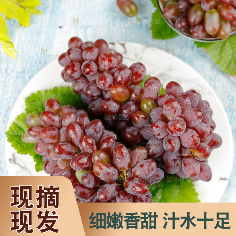 茉莉香葡萄
