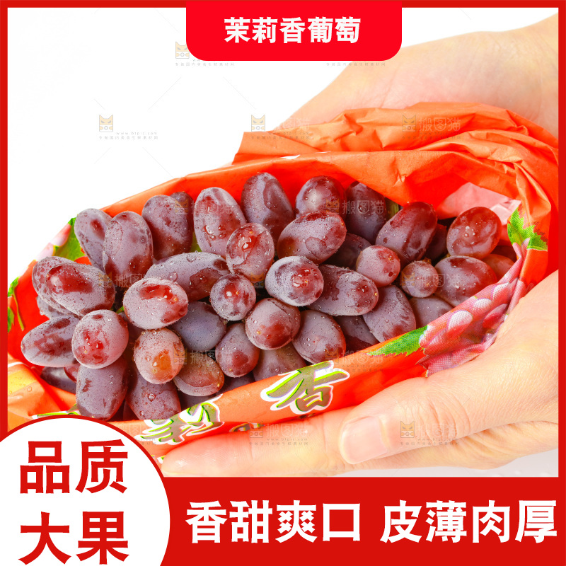 茉莉香葡萄