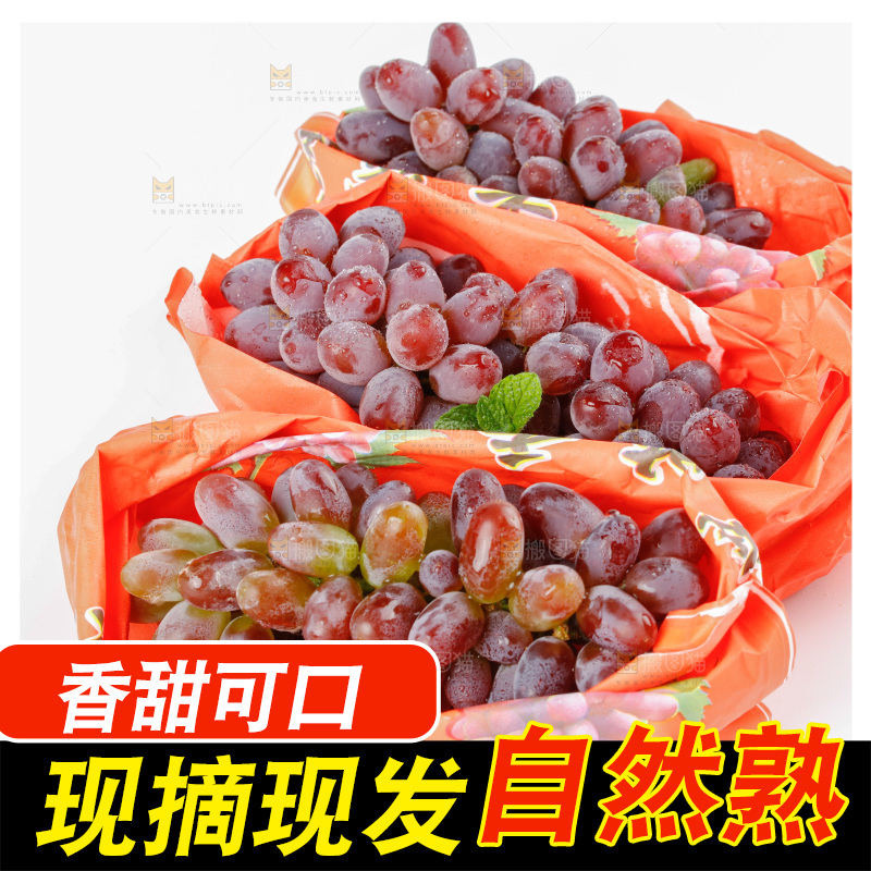 茉莉香葡萄