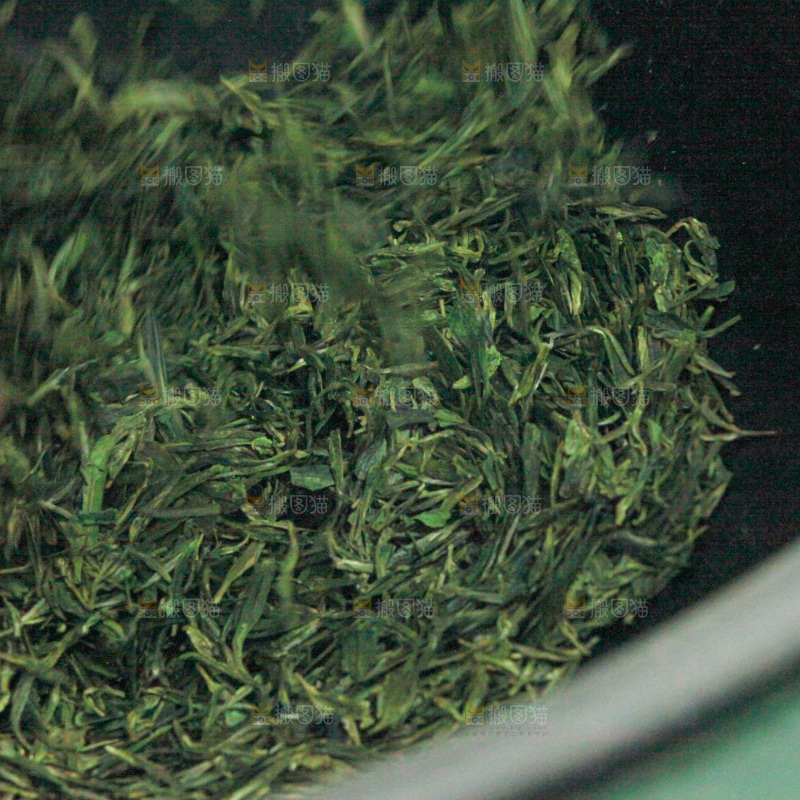 茶叶种植园