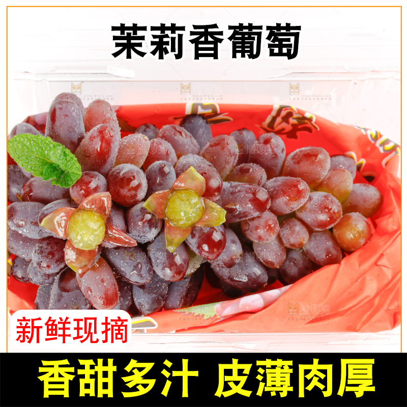 茉莉香葡萄