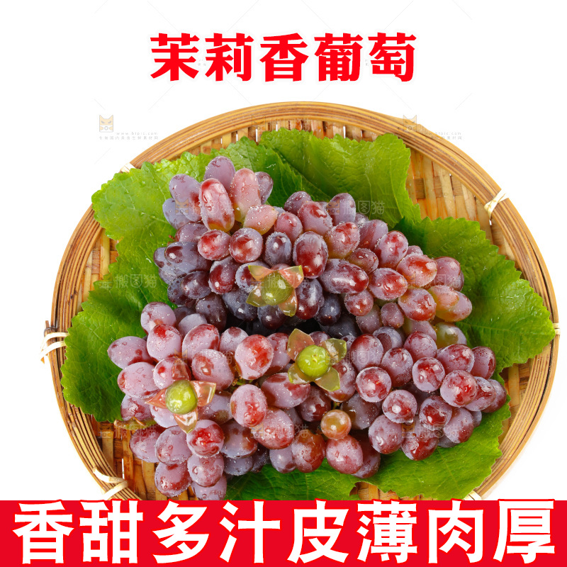 茉莉香葡萄