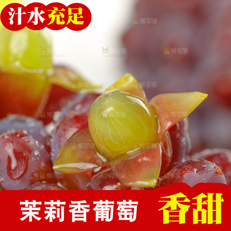 茉莉香葡萄