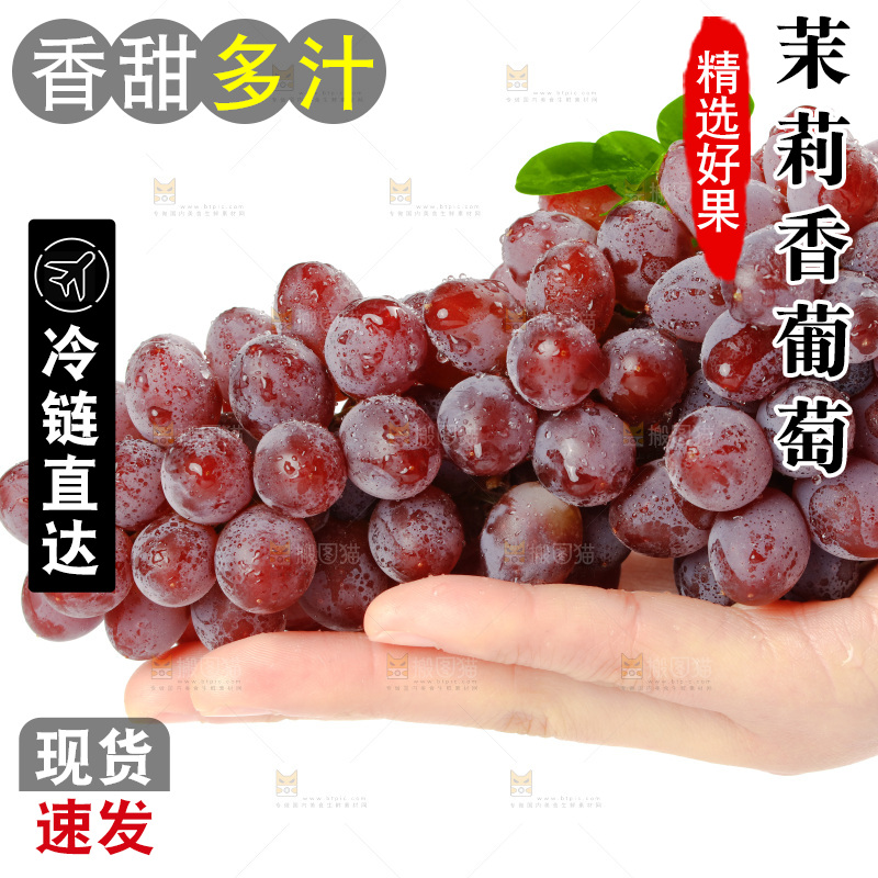 茉莉香葡萄