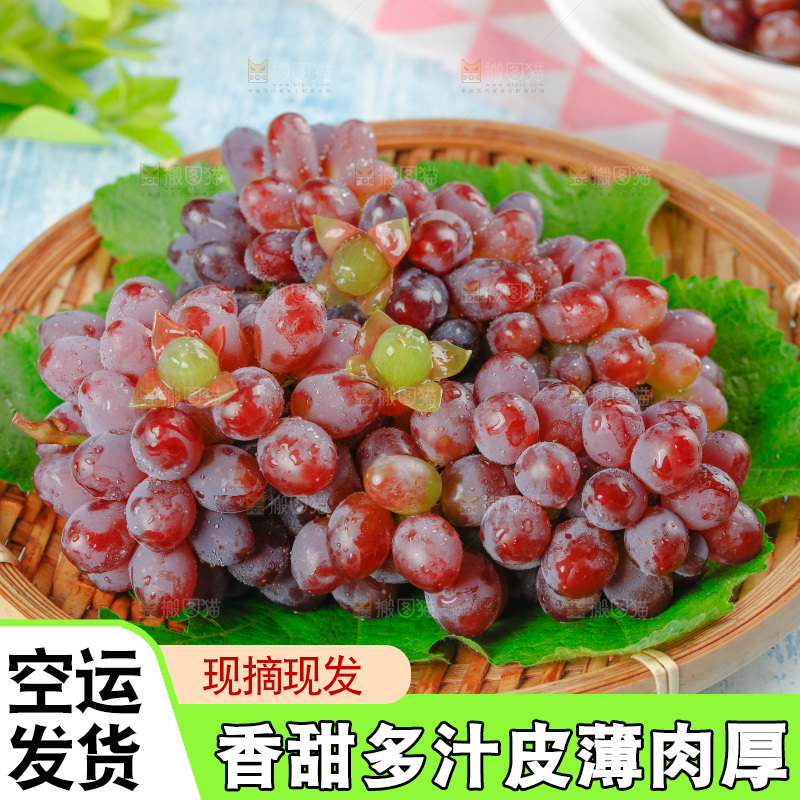 茉莉香葡萄