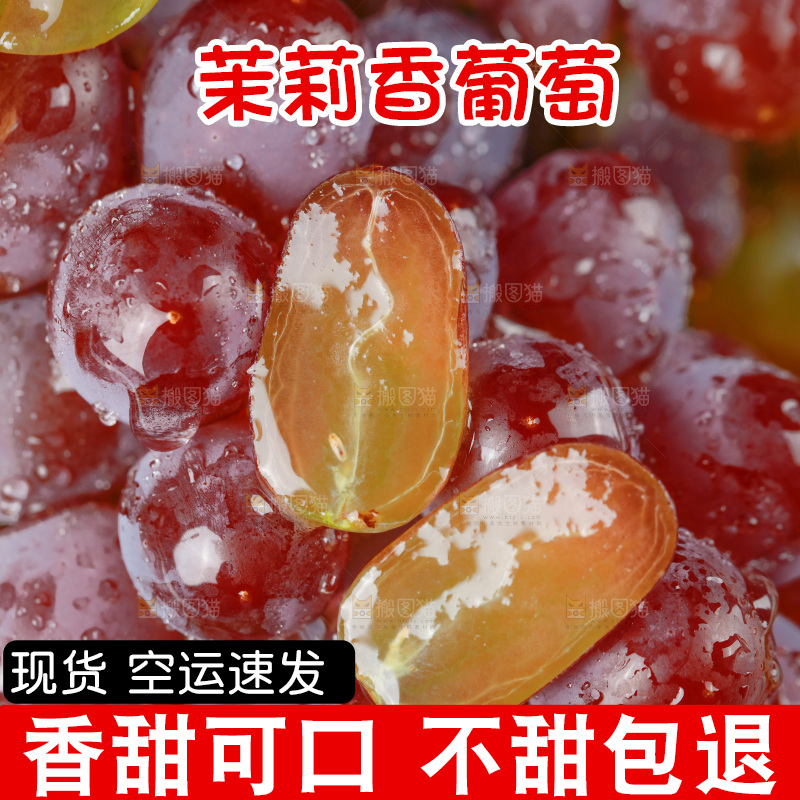 茉莉香葡萄