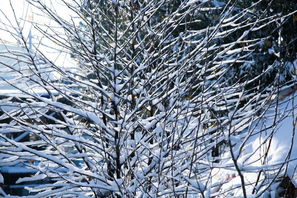 村落雪景下雪